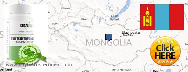 Πού να αγοράσετε Testosterone σε απευθείας σύνδεση Mongolia